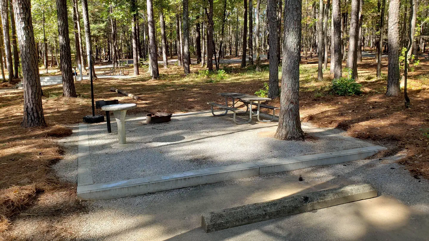 Piney Grove