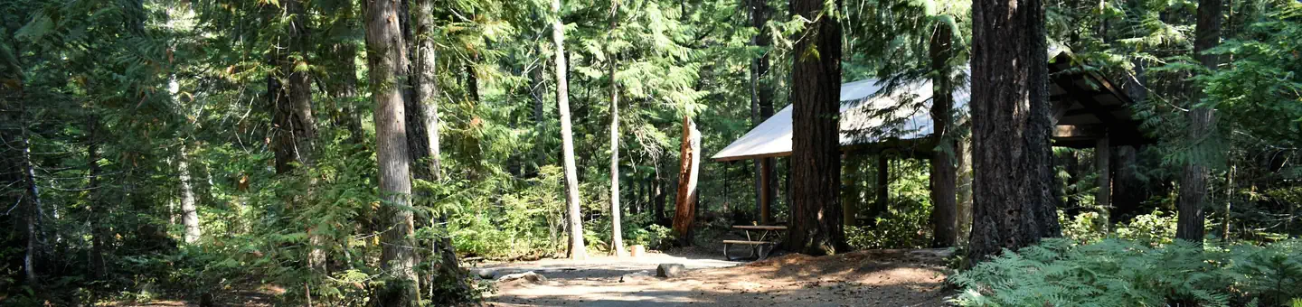Newhalem Creek Campground