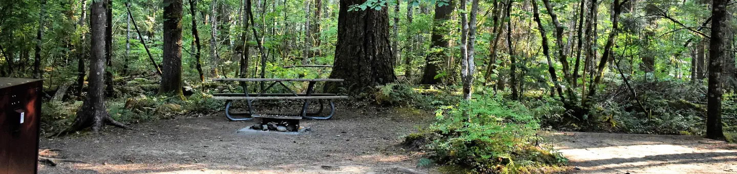 Newhalem Creek Campground