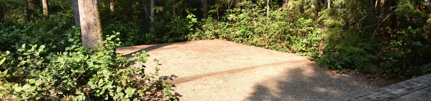 Newhalem Creek Campground