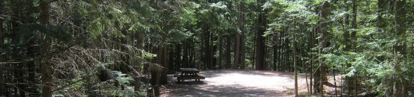 Luna White Deer Campground