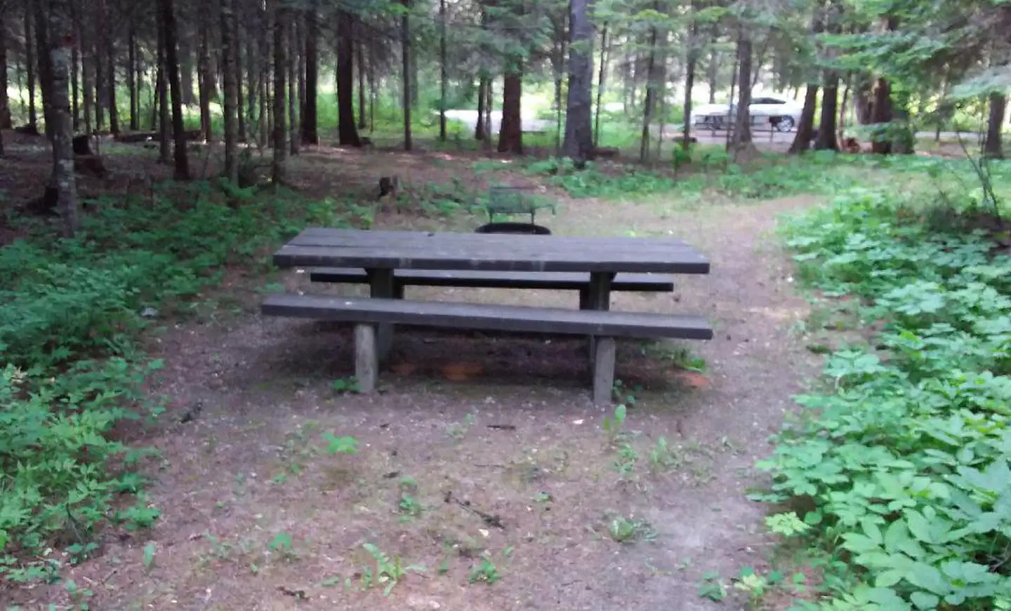 Yaak River Campground (mt)