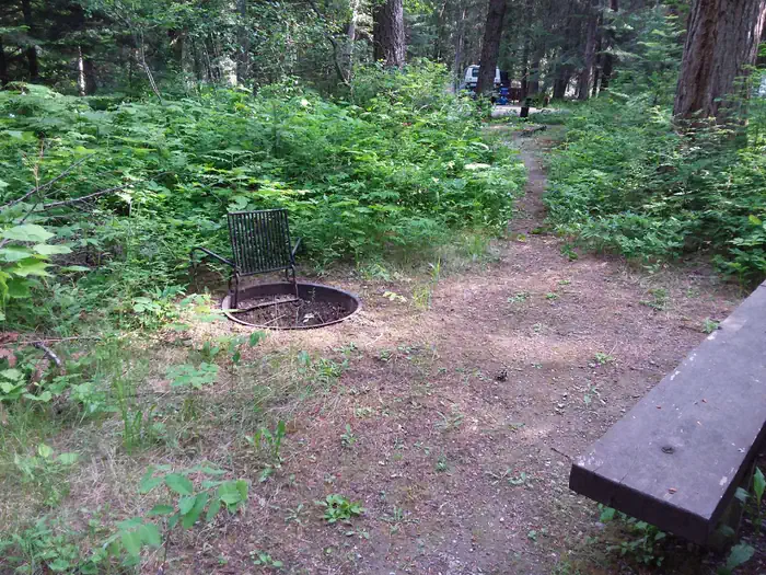 Yaak River Campground (mt)