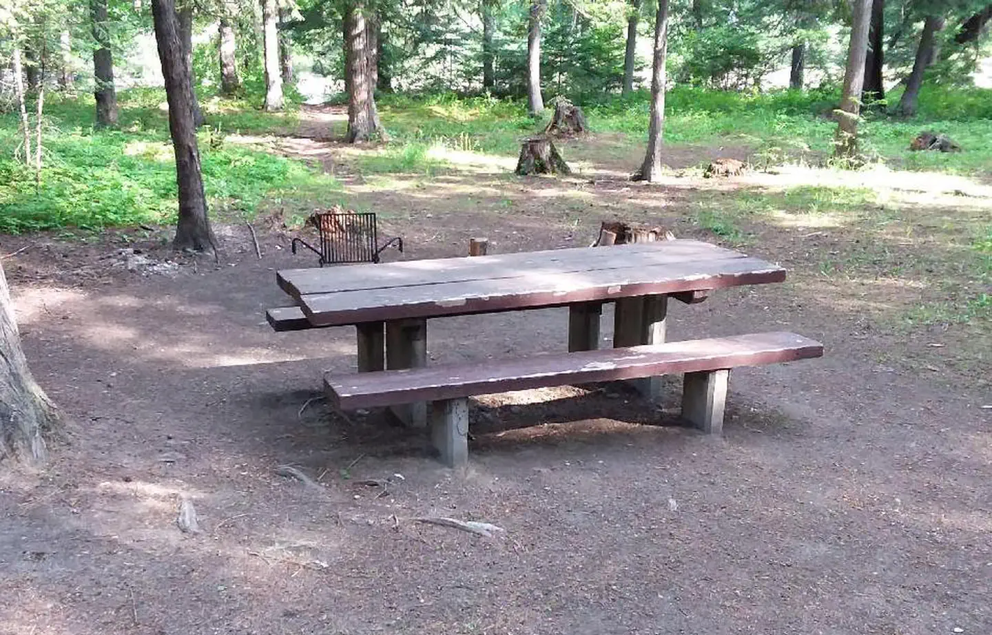 Yaak River Campground (mt)