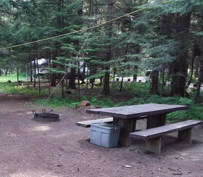Yaak River Campground (mt)