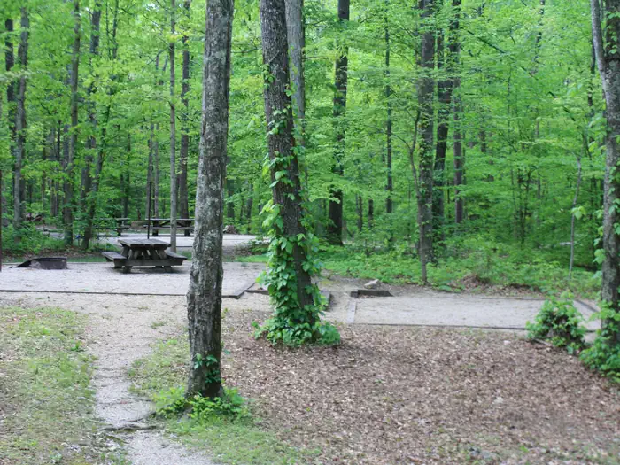 Koomer Ridge Campground