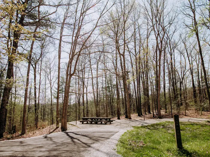 Koomer Ridge Campground