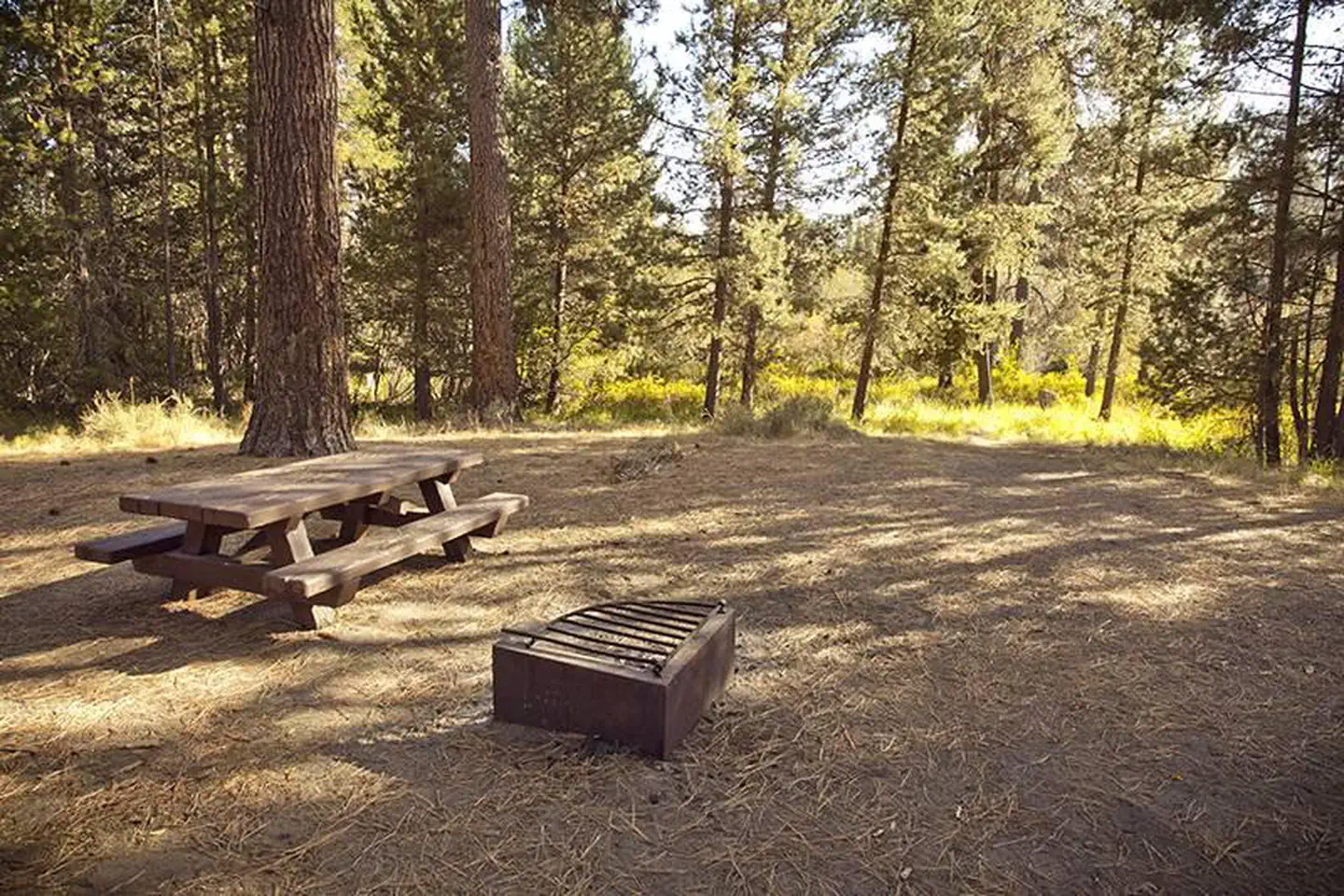 Crescent Creek Campground