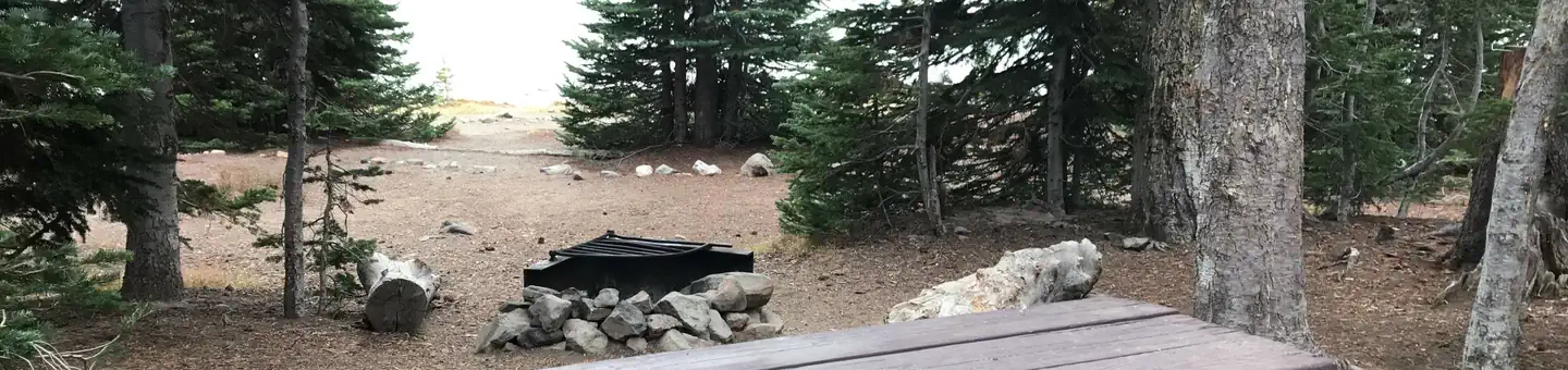 Driftwood Campground - Deschutes