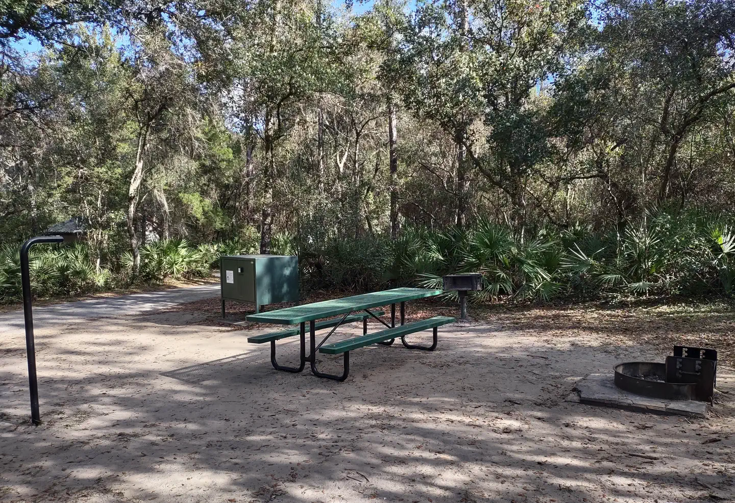 Juniper Springs Rec Area - Sandpine