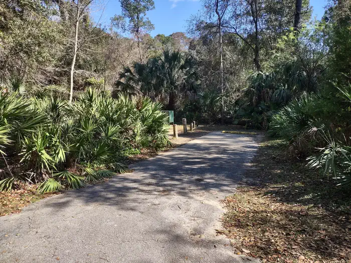 Juniper Springs Rec Area - Sandpine