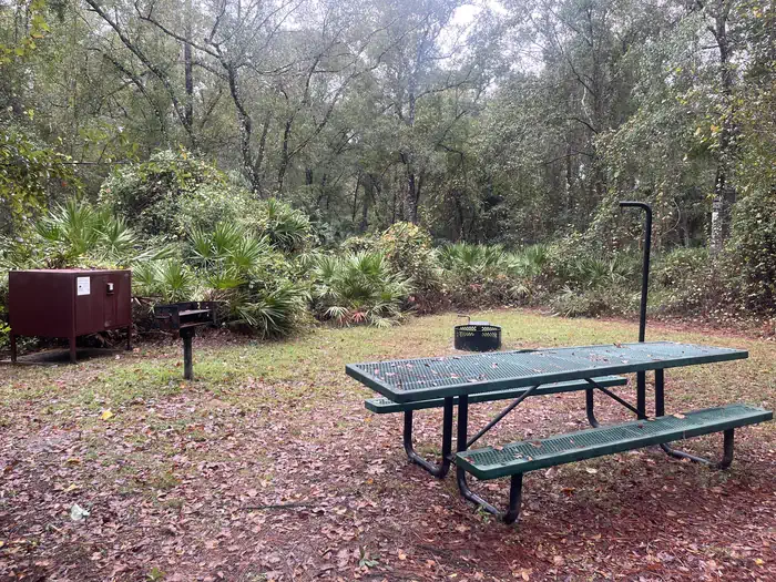 Juniper Springs Rec Area - Sandpine