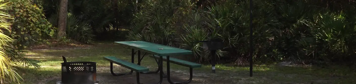 Juniper Springs Rec Area - Sandpine