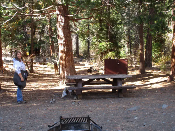 Chilcoot Family Campground