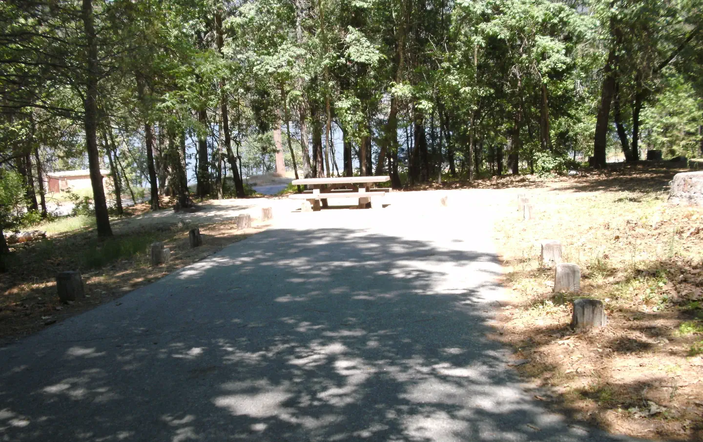 Lupine/Cedar Bluff Campground