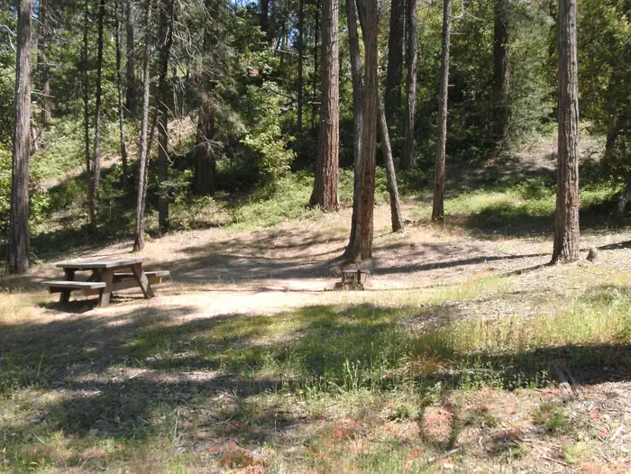 Lupine/Cedar Bluff Campground