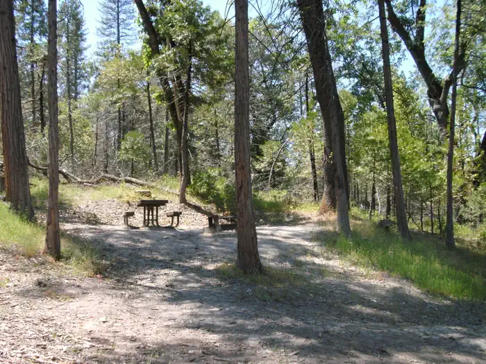 Lupine/Cedar Bluff Campground