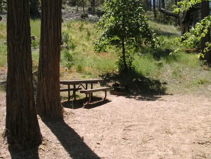 Lupine/Cedar Bluff Campground