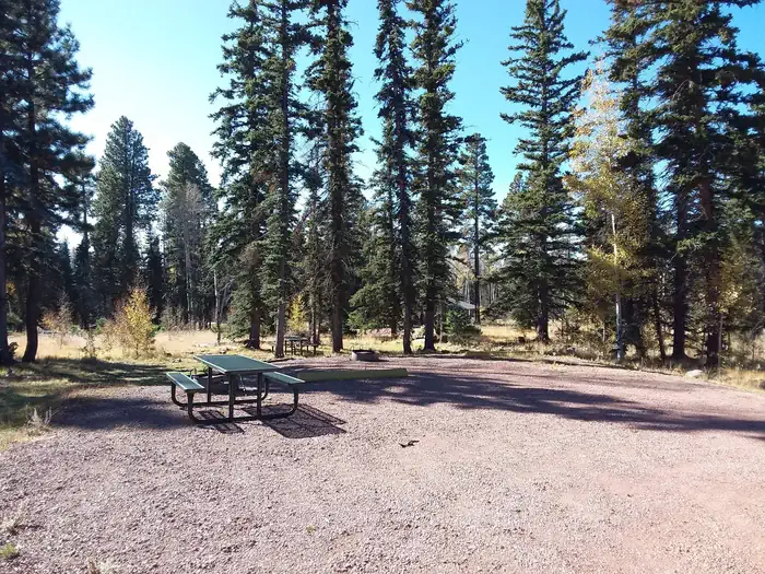 Apache Trout Campground