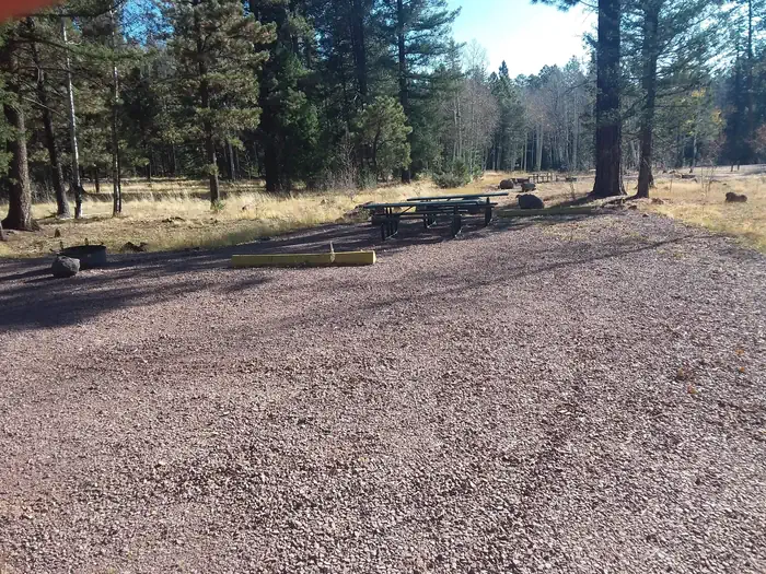 Apache Trout Campground
