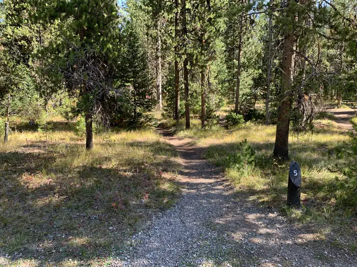 Lizard Creek Campground
