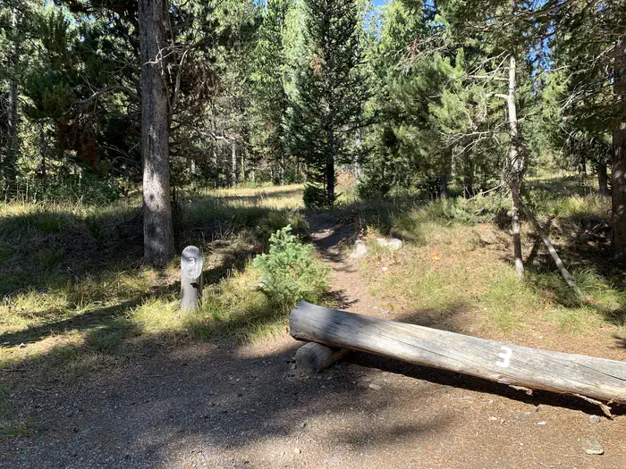 Lizard Creek Campground