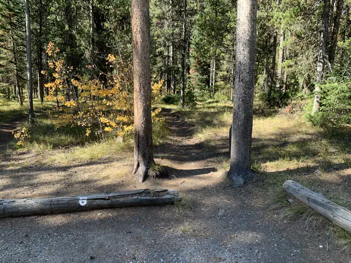 Lizard Creek Campground