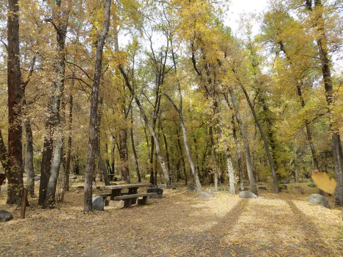 Cave Springs