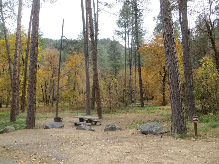 Cave Springs