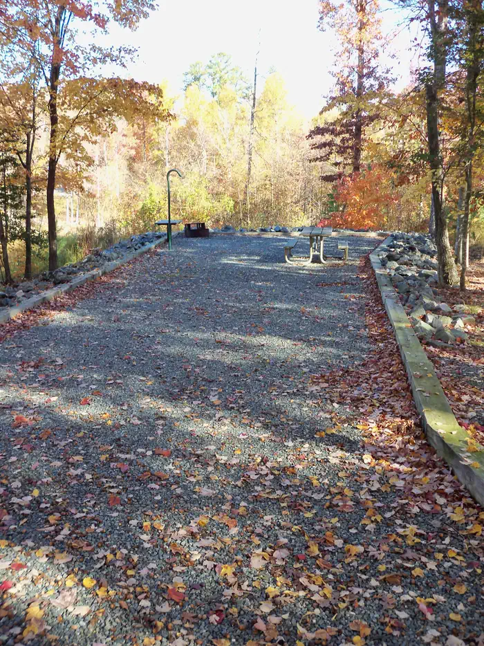 Longwood Park