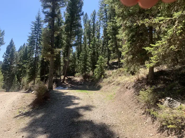 Beaverhead National Forest Wade Lake Campground and Picnic Area