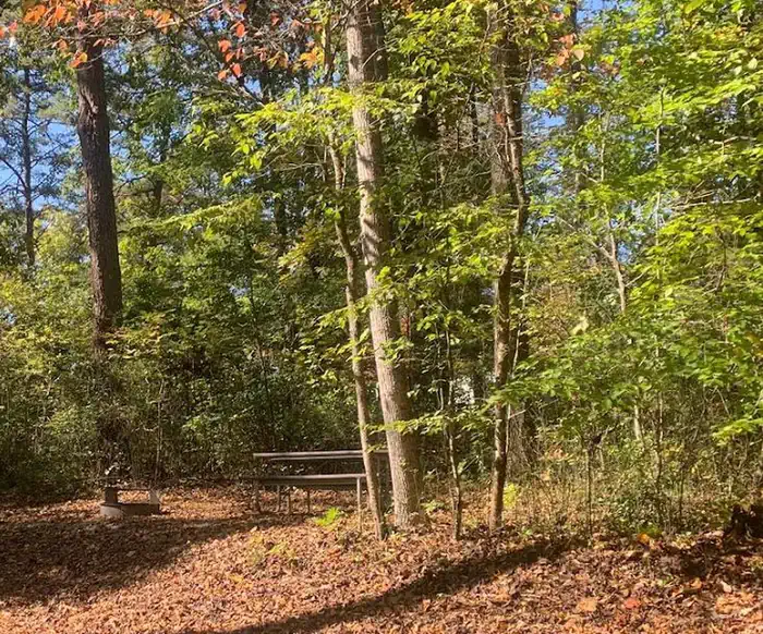 Wilderness Road Campground