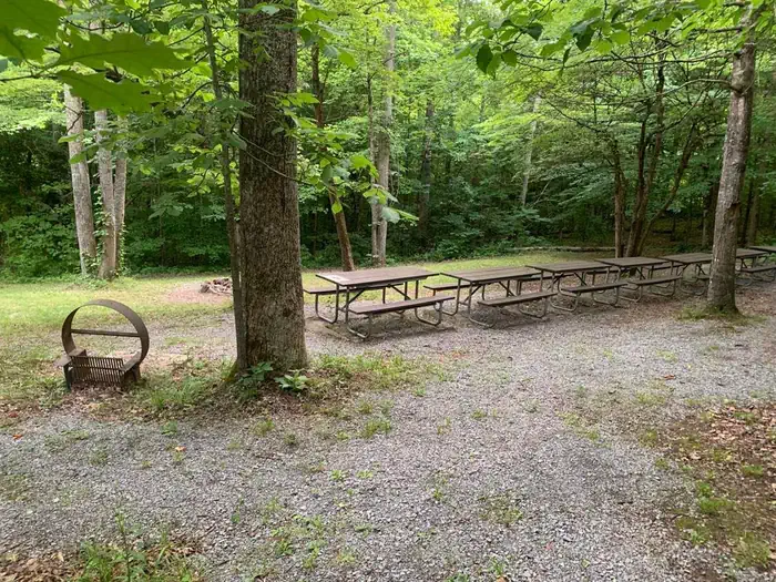 Wilderness Road Campground