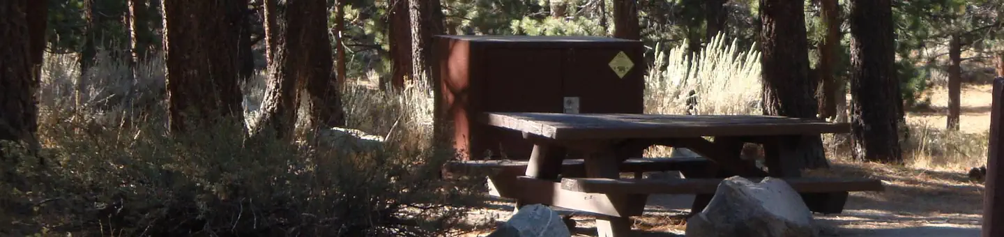 Pine Glen