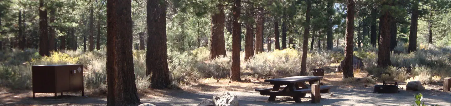 Pine Glen