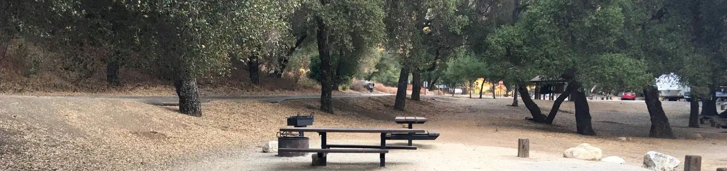 007