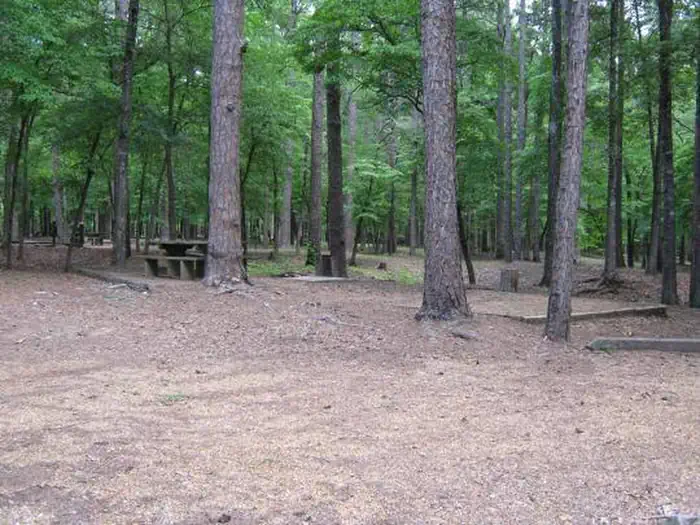 Chewalla Lake Recreation Area- CLOSED FOR 2022 SEASON