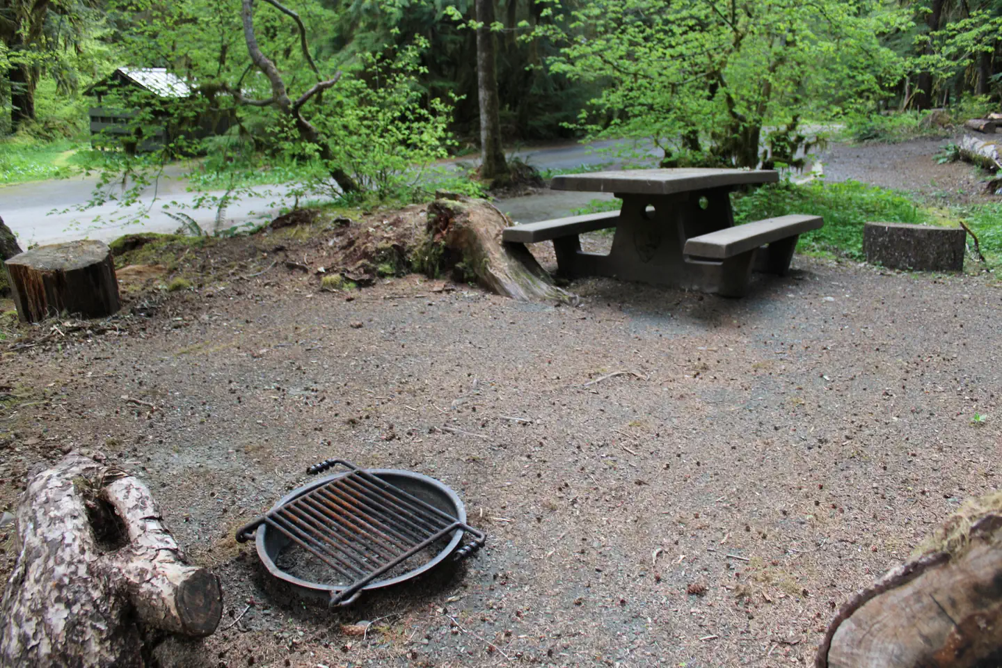 Sol Duc Hot Springs Resort Campground