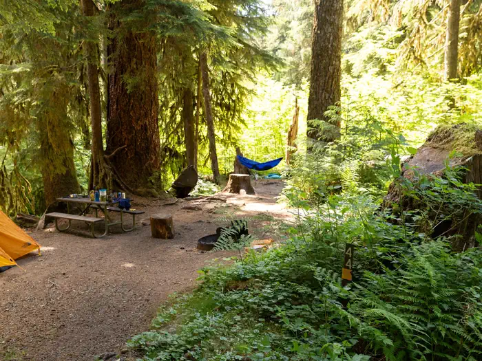 Sol Duc Hot Springs Resort Campground