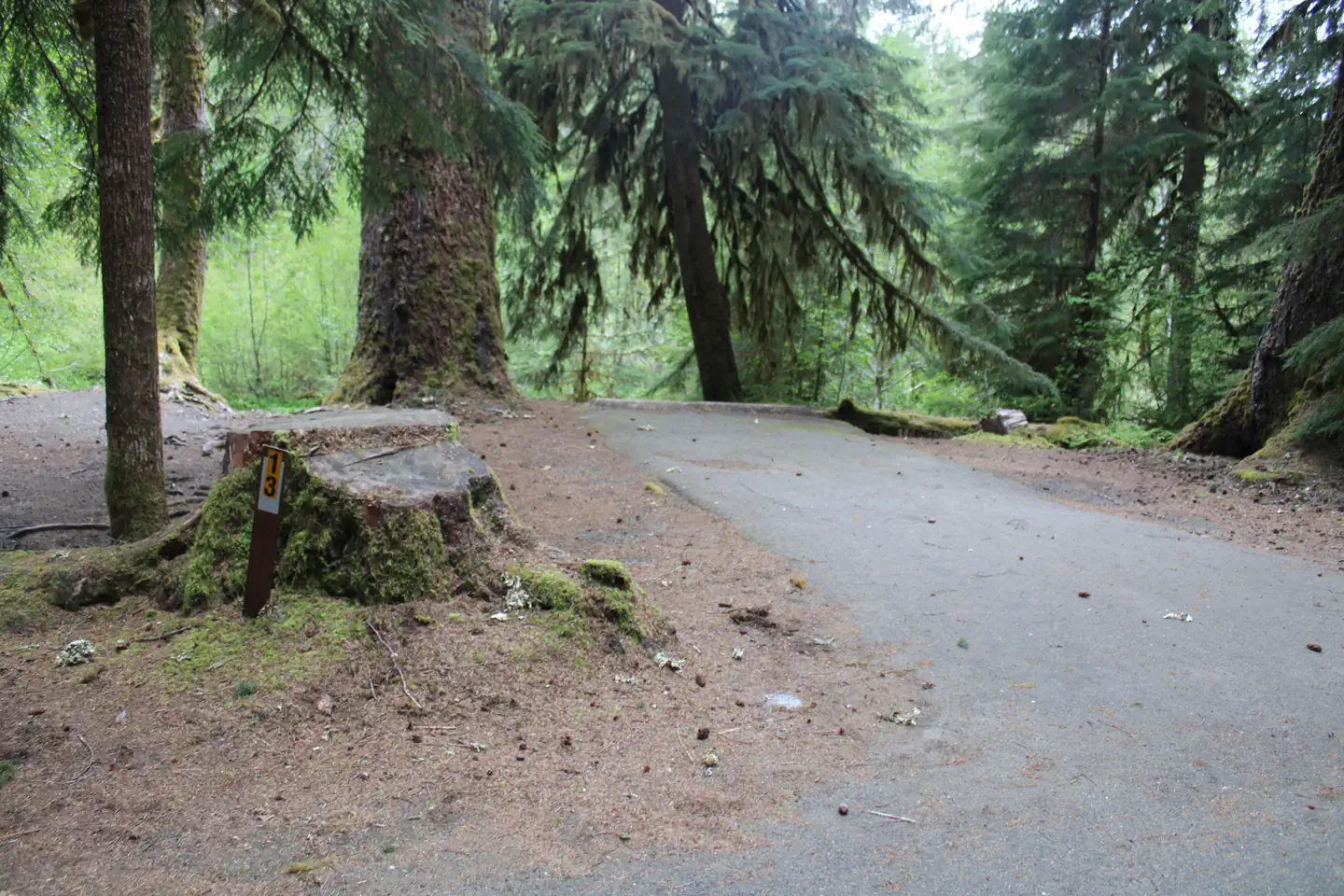 Sol Duc Hot Springs Resort Campground