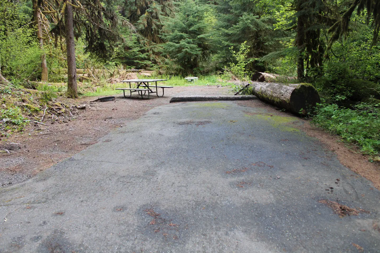 Sol Duc Hot Springs Resort Campground