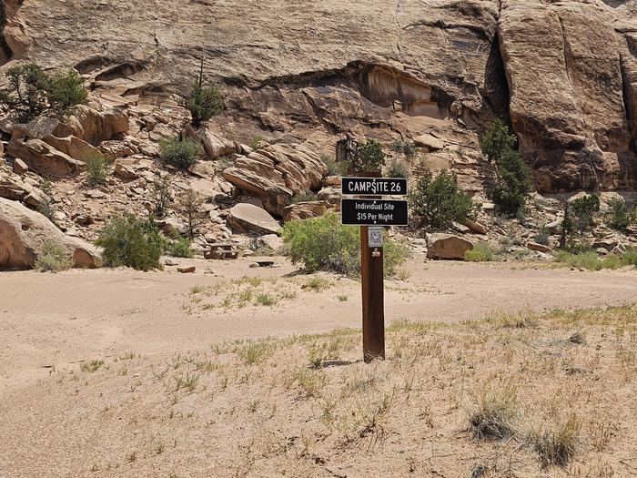Buckhorn Draw Fee Campground Sites 1-7