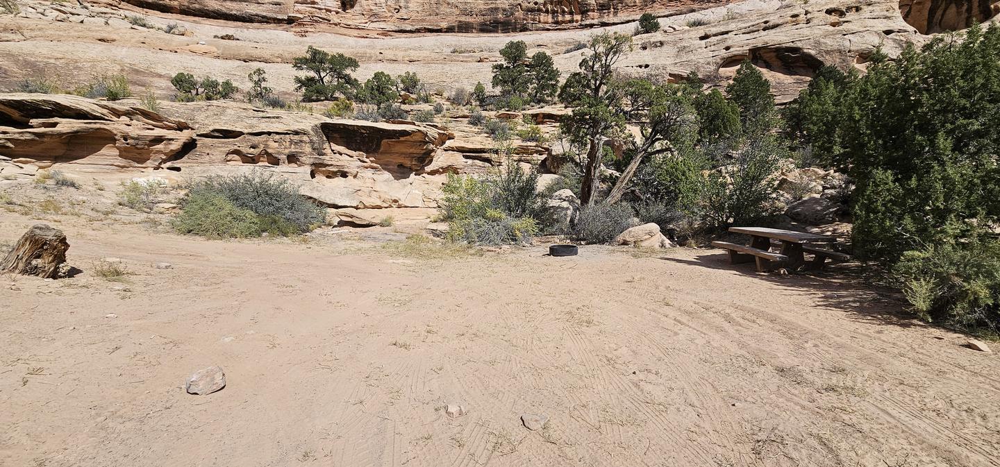 Buckhorn Draw Fee Campground Sites 1-7