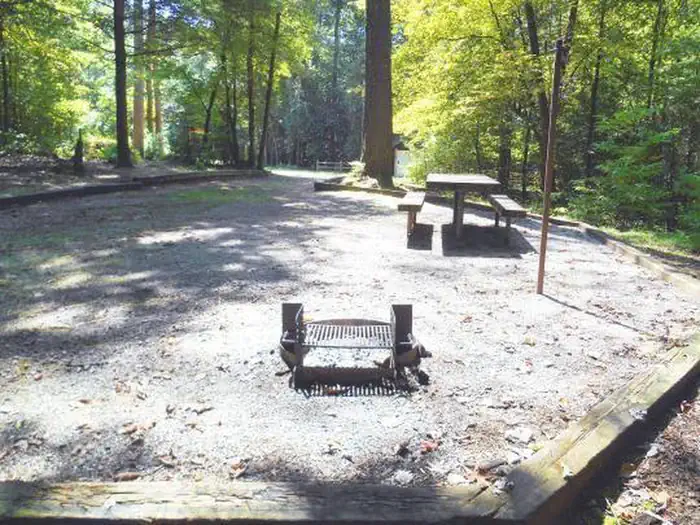 Willis Knob Horse Camp