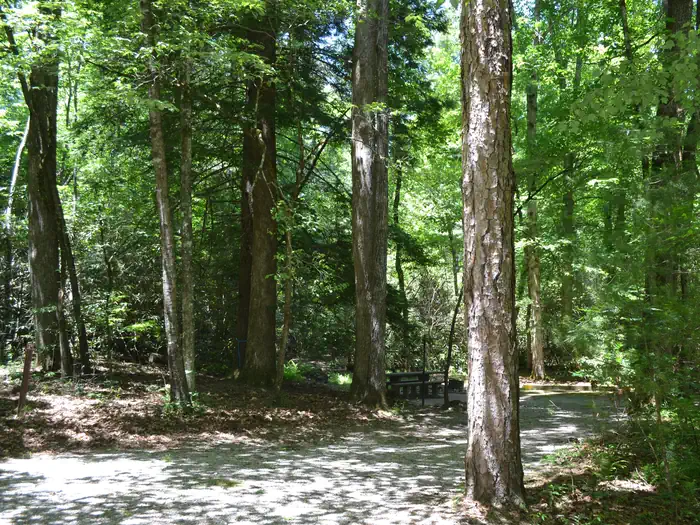 Sumter National Forest Cherry Hill Recreation Area