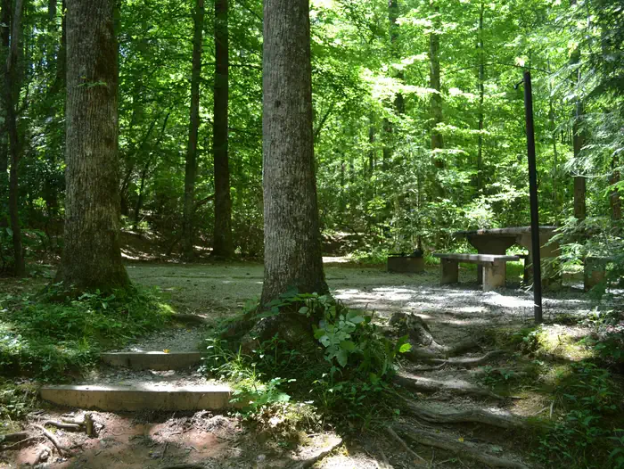 Sumter National Forest Cherry Hill Recreation Area