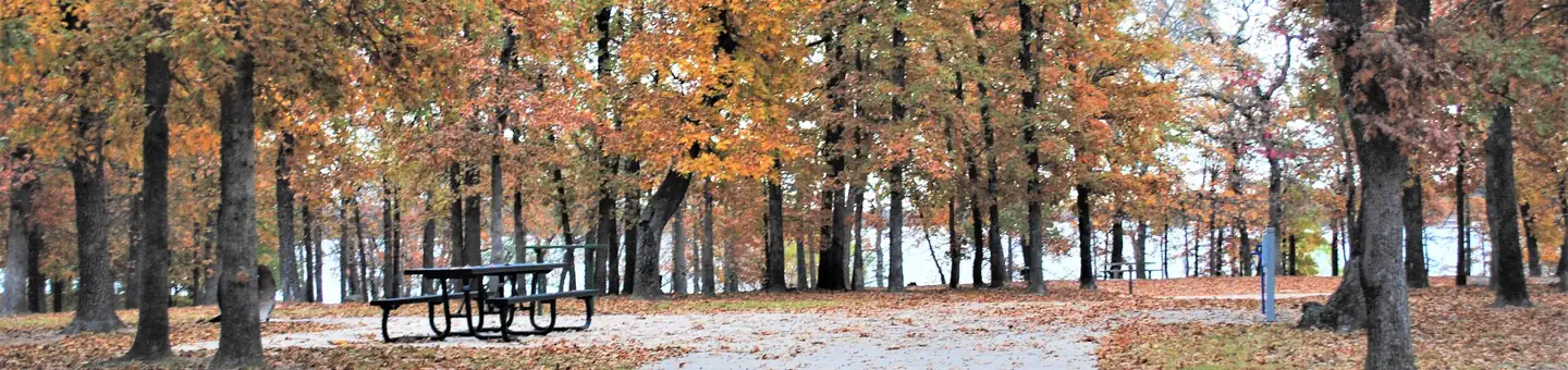 Belle Starr Park Campground