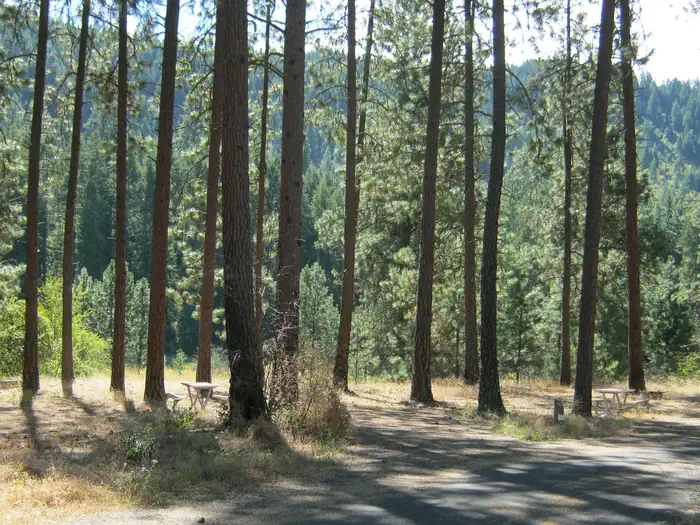 Marcus Island Campground