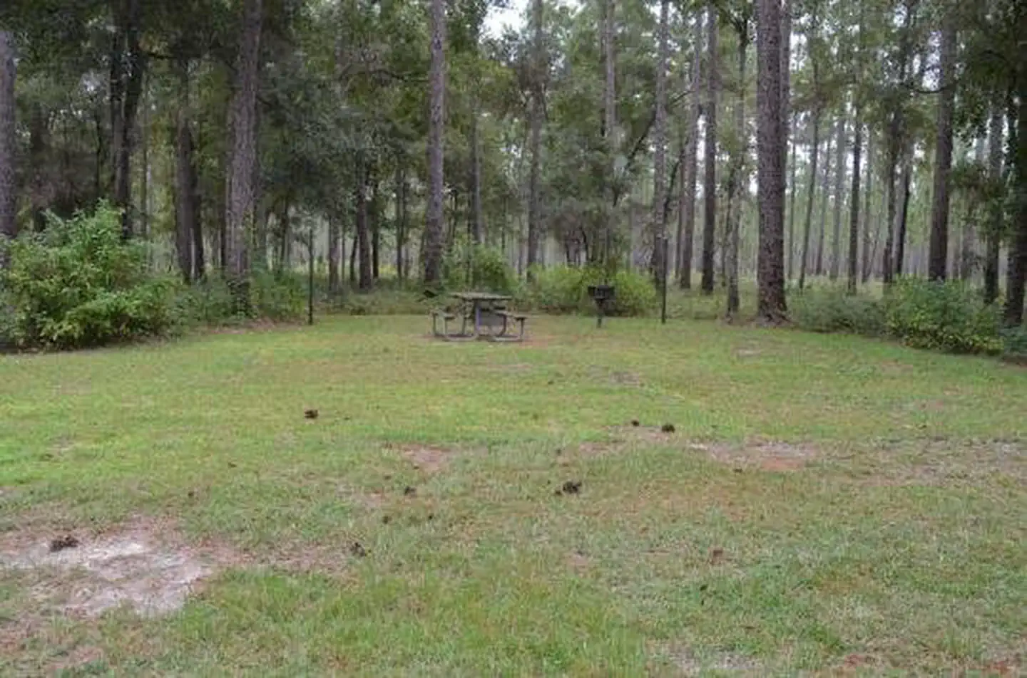 Wright Lake Campground