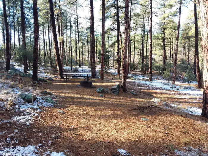 White Spar Campground